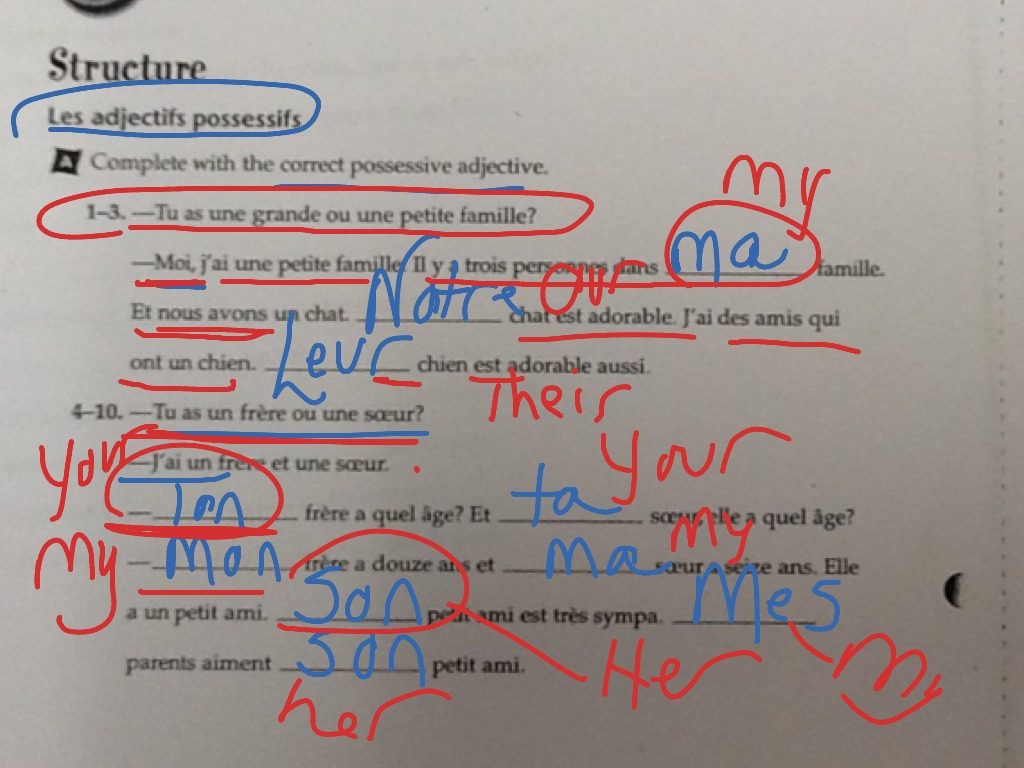Possessive Adjectives Quiz C4q4 â Worksheets Samples
